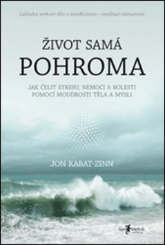 Život samá pohroma: Jak čelit stresu, nemoci a bolesti pomocí moudrosti těla a mysli