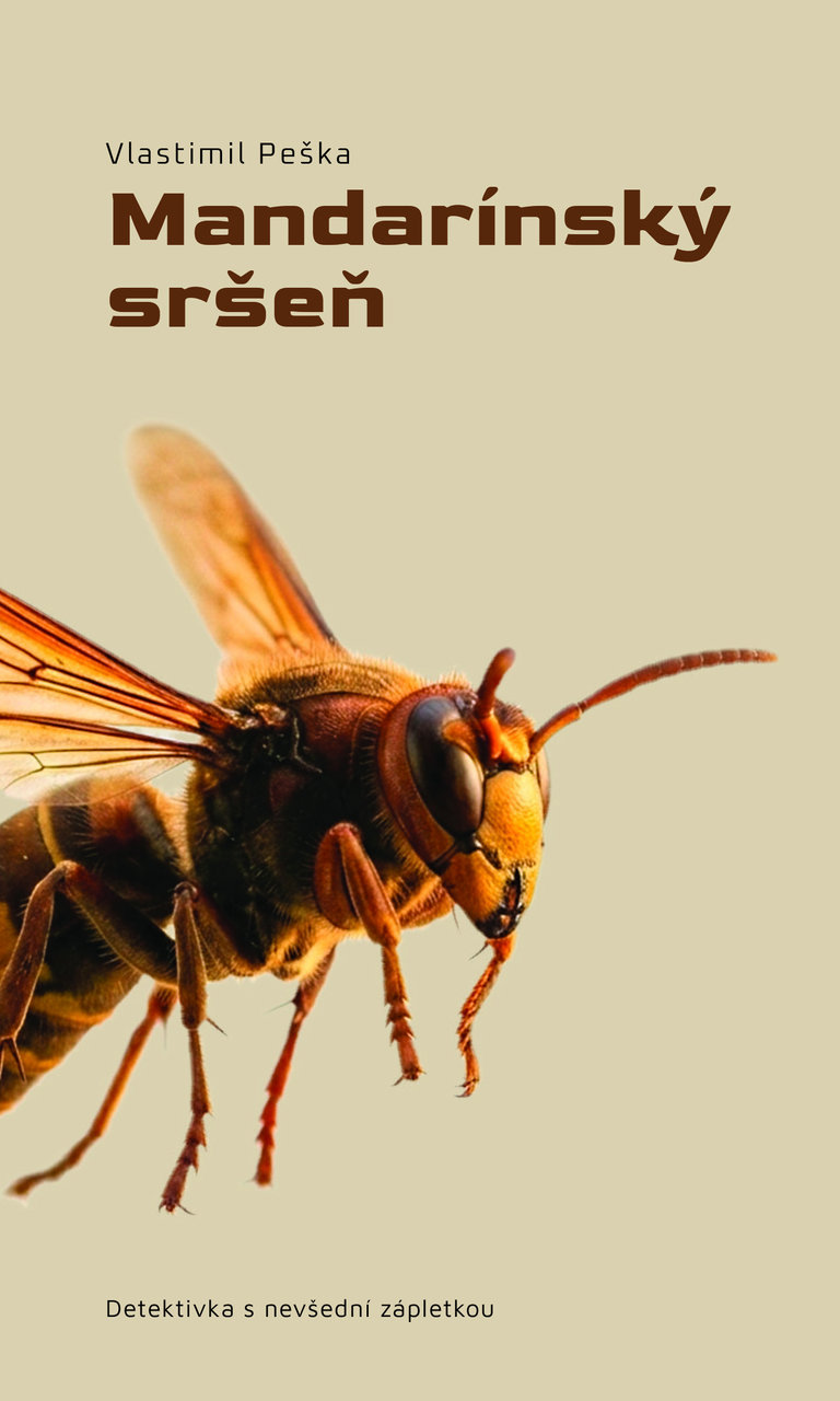 Mandarínský sršeň