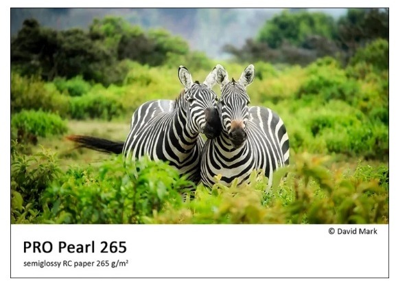 FOMEI PRO Pearl 265 13x18/50 - výborný fotopapír pro profesionální výsledky
