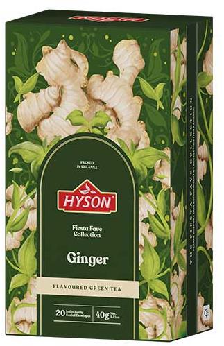 Hyson Zelený čaj Ginger 40 g, 20 sáčků