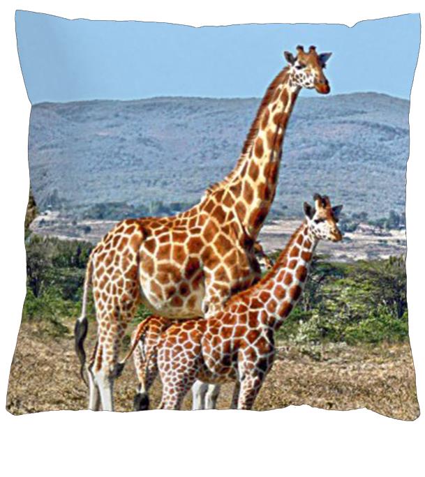 4sleep Povlak na polštář 40 × 40 cm, na zip velur - Žirafy