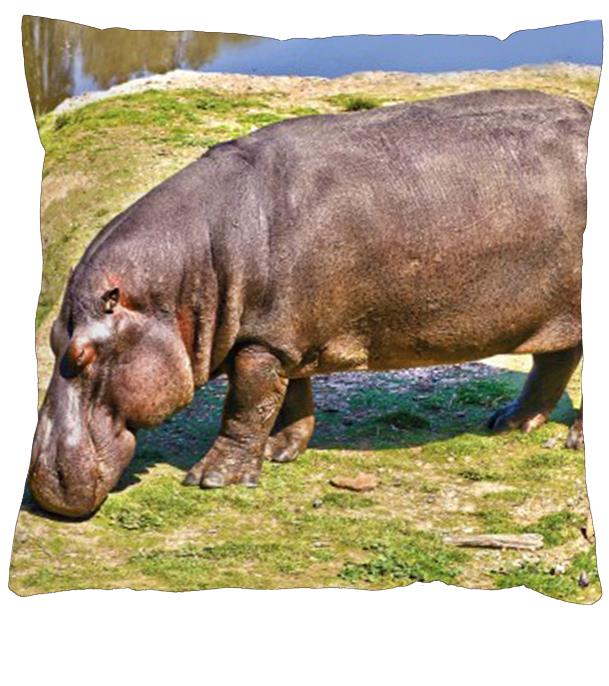 4sleep Povlak na polštář 40 × 40 cm, na zip velur - Hroch