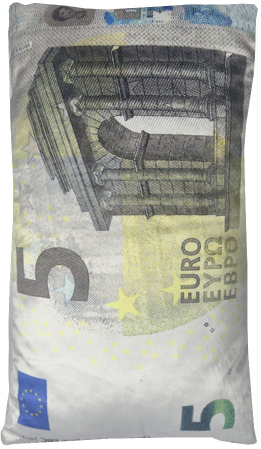 4sleep Dekorační polštář bankovka 5 Eur 30 × 50 cm