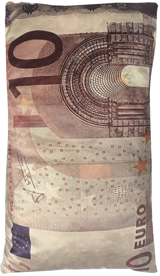 4sleep Dekorační polštář bankovka 10 Eur 30 × 50 cm