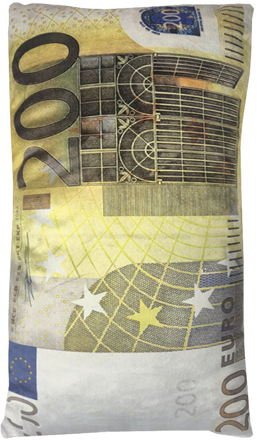 4sleep Dekorační polštář bankovka 200 Eur 30 × 50 cm