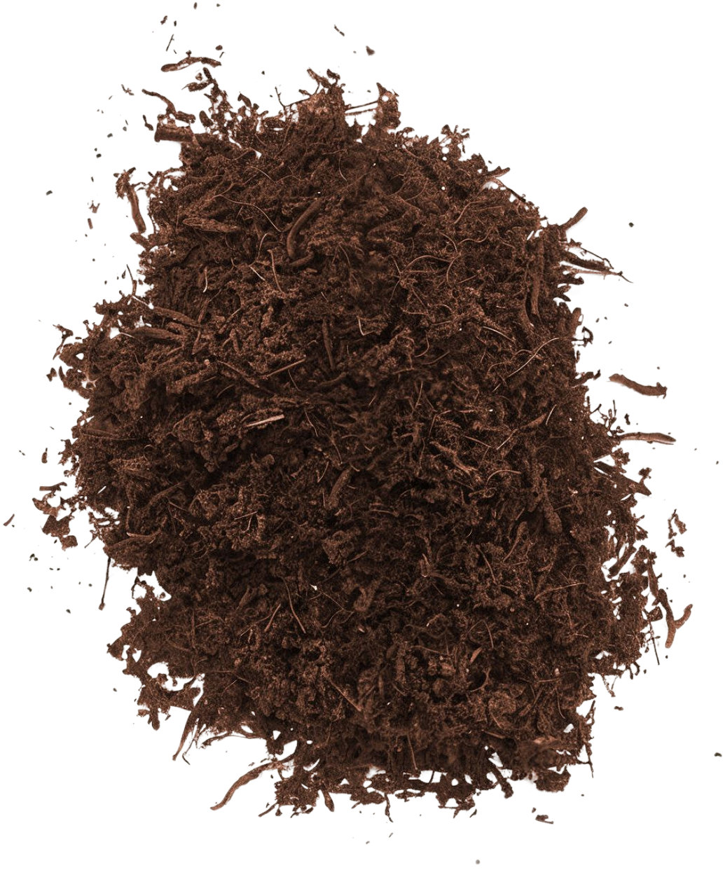Besgrow Plantbee Tree Fern Fiber 1 l