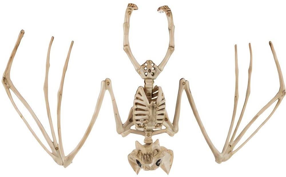 Malatec 22005 Kostra netopýra Halloween 30 cm