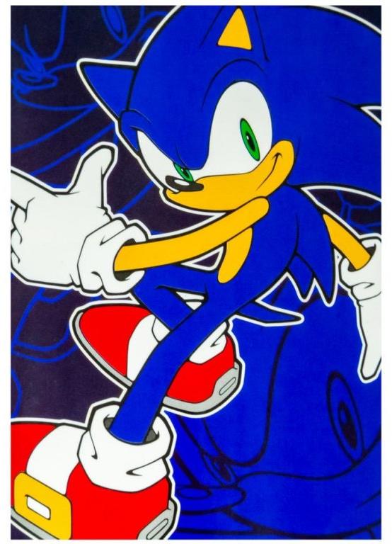 Sonic The hedgehog: Image Ready For Action - fleece deka