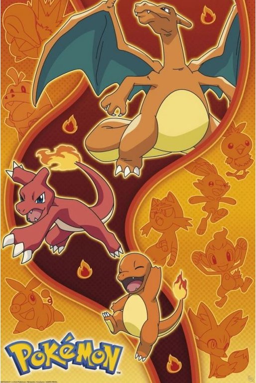 Pokémon: Fire type - Plakát