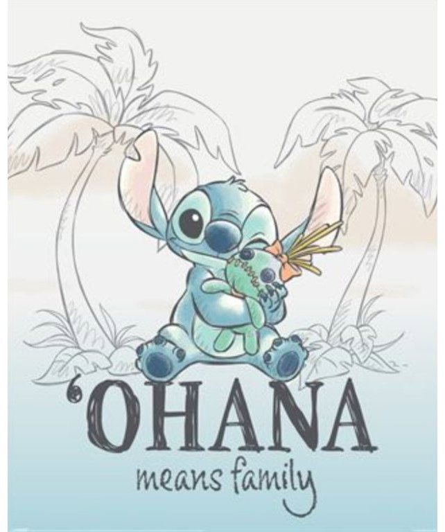 Disney Lilo & Stitch: Ohana means family