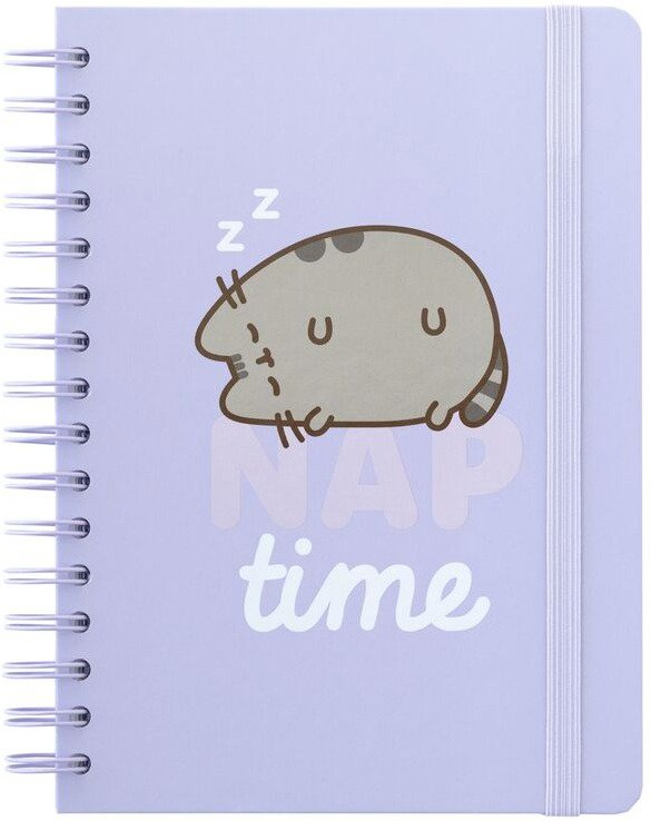 GRUPO ERIK Pusheen: Nap time A5, čistý