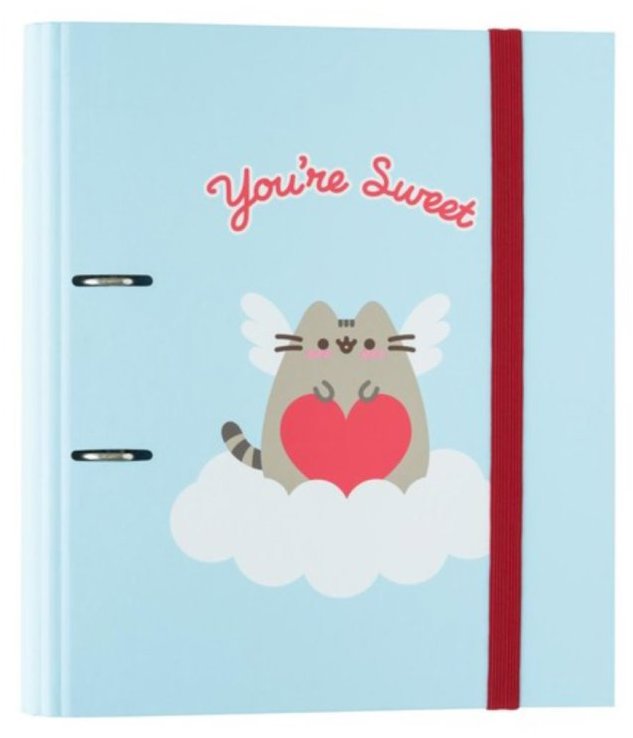 Pořadač GRUPO ERIK Pusheen: Cat In Love A4, 70 mm, 2kroužkový