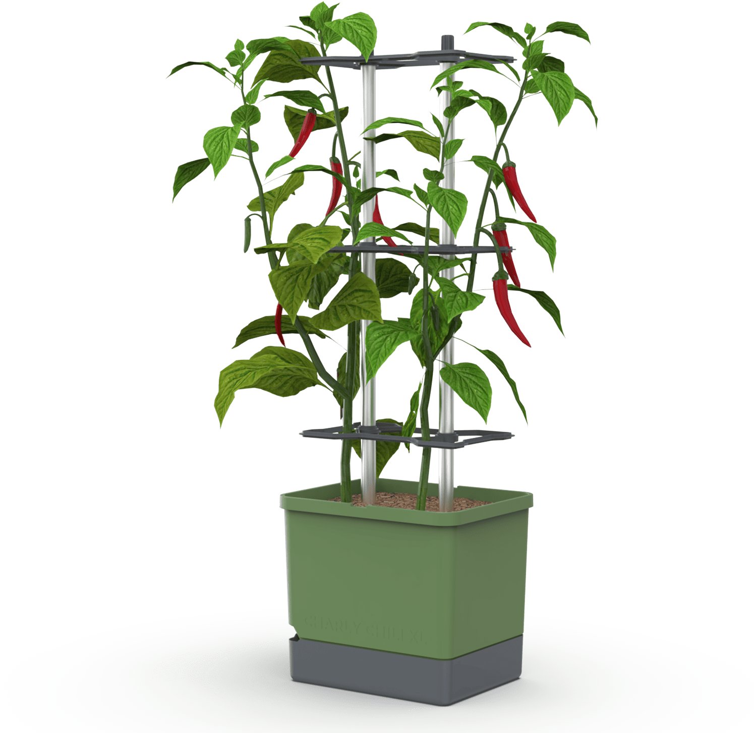 Gusta Garden CHARLY CHILI XL samozavlažovací, tmavě zelený