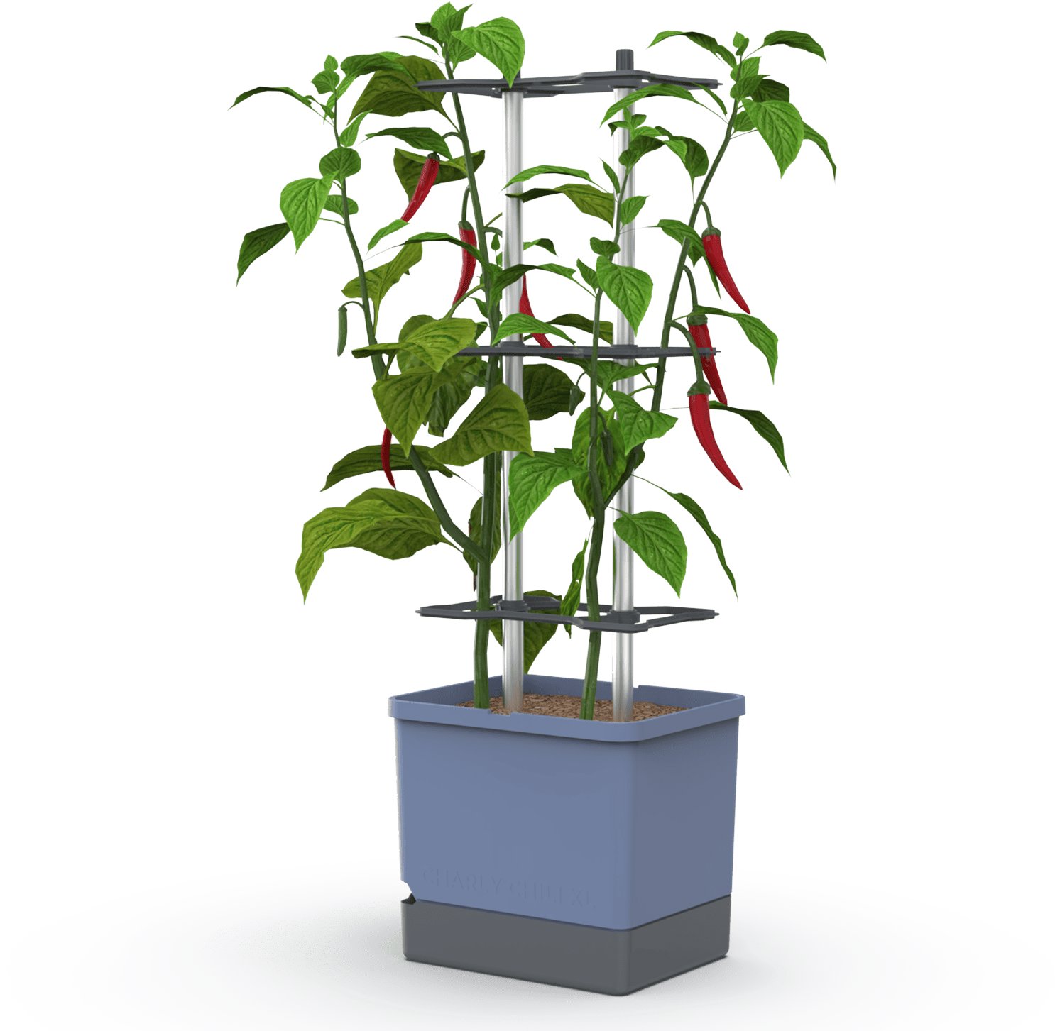 Gusta Garden CHARLY CHILI XL samozavlažovací, modrý