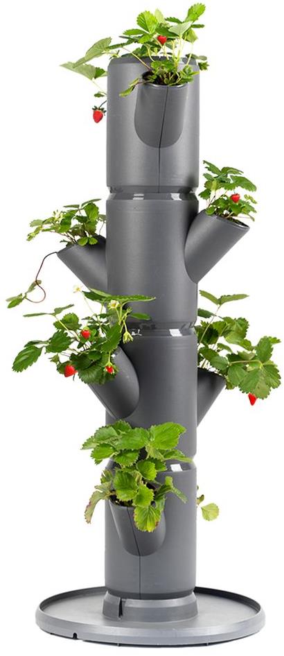 Gusta Garden SISSI STRAWBERRY starter samozavlažovací truhlík 4 patra, antracit