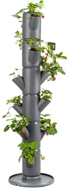 Gusta Garden SISSI STRAWBERRY classic samozavlažovací truhlík 6 pater, antracit