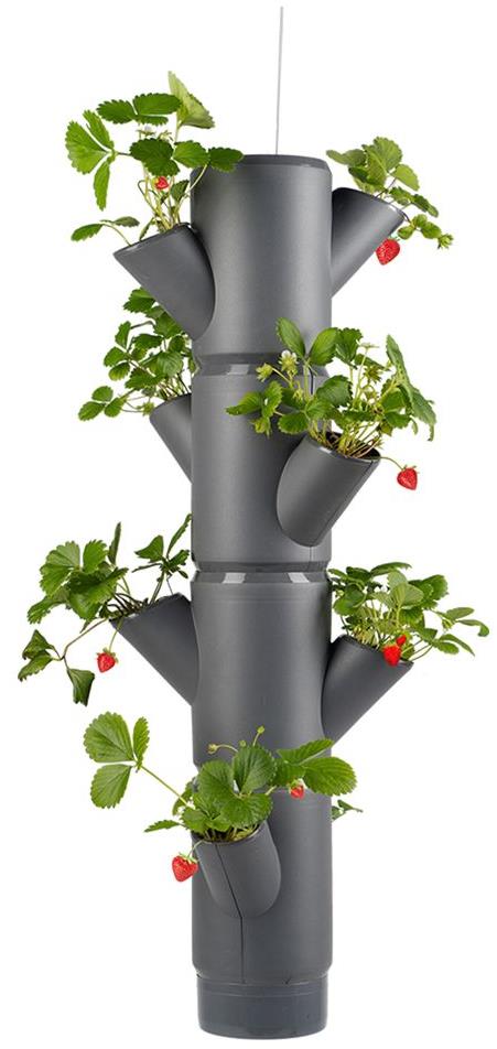 Gusta Garden SISSI STRAWBERRY závěsný samozavlažovací truhlík 4 patra, antracit