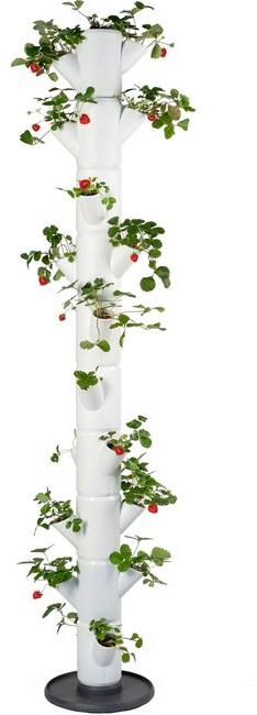 Gusta Garden SISSI STRAWBERRY Infinity samozavlažovací truhlík 10 pater, bílý