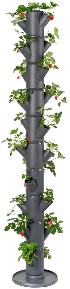 Gusta Garden SISSI STRAWBERRY Infinity samozavlažovací truhlík 10 pater, antracit