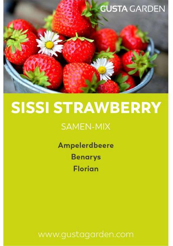 Gusta Garden SISSI jahody Mix semen