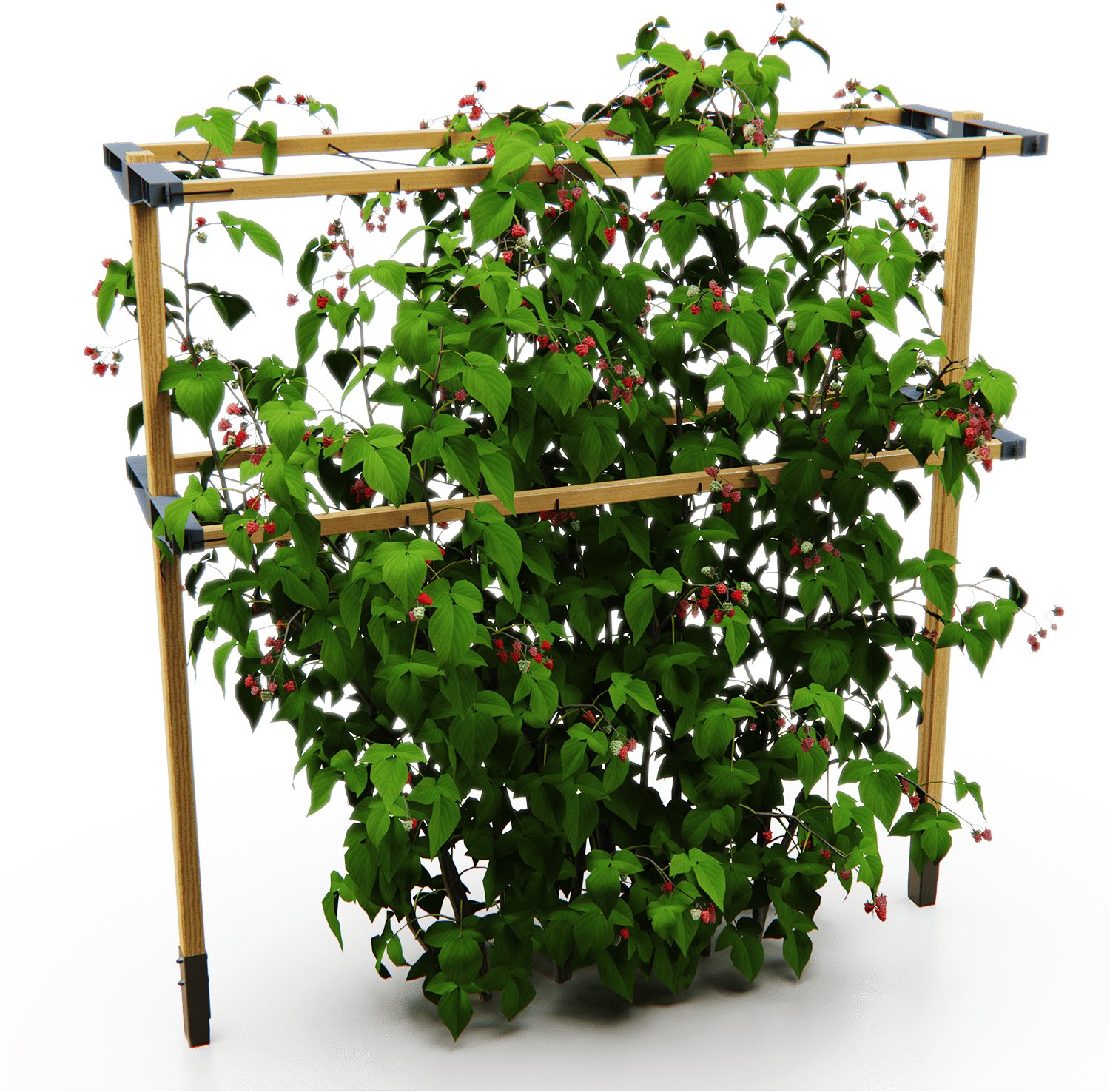 Gusta Garden BERRY BUDDY podpůrná mříž 120 cm