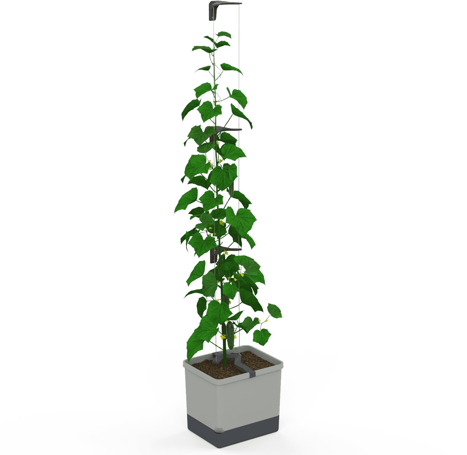 Gusta Garden CURT CUCUMBER samozavlažovací, světle šedý