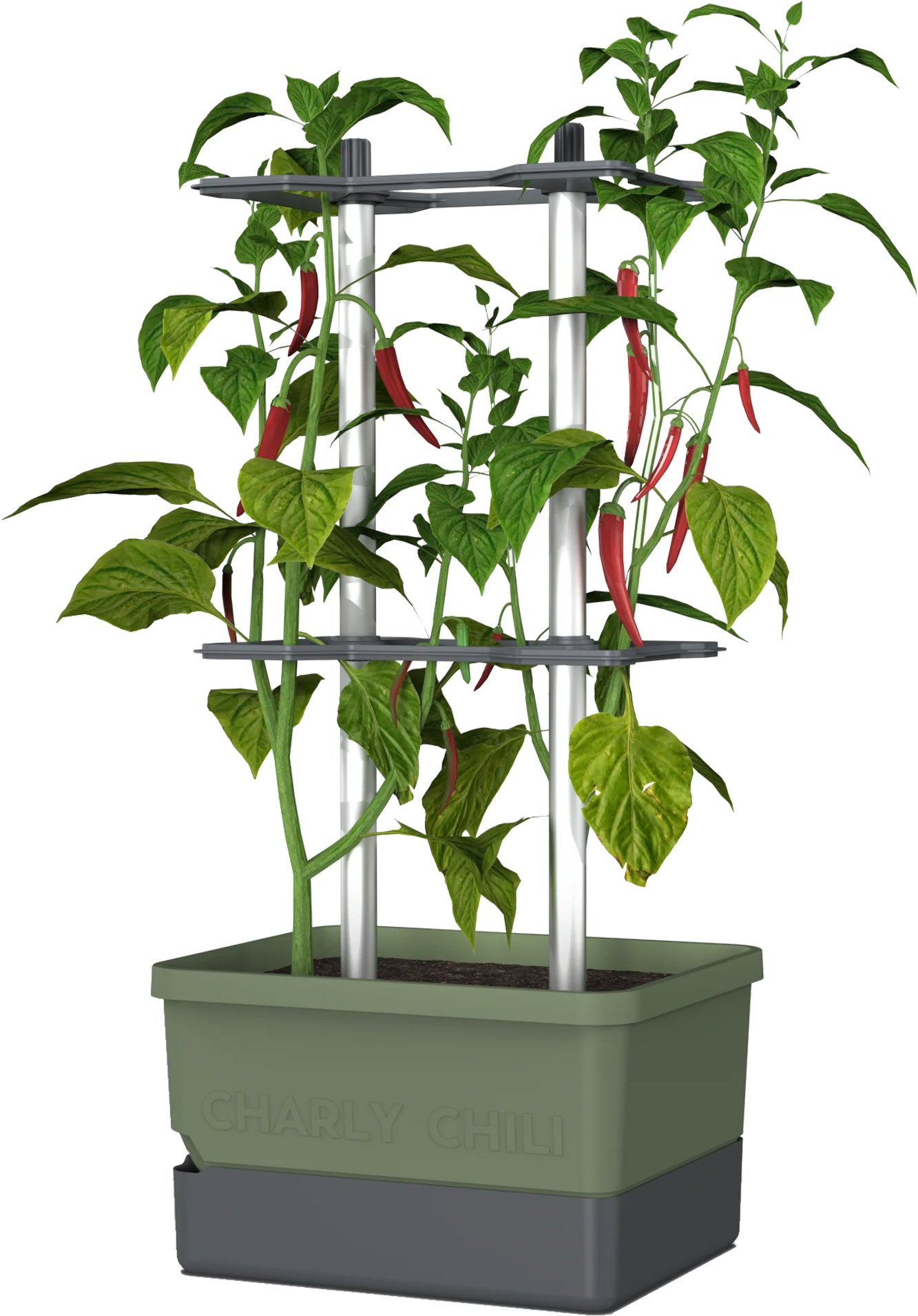 Gusta Garden CHARLY CHILI Standard, tmavě zelený