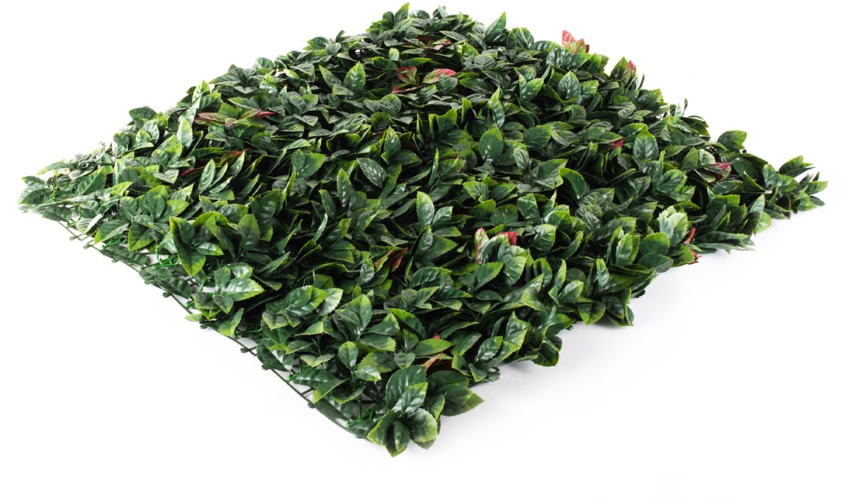 Hawaj Umělý živý plot Blýskalka Photinia stěna 100 × 100 cm červená