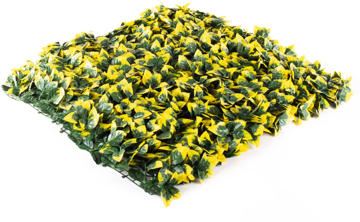 Hawaj Umělý živý plot Blýskalka Photinia stěna 100 × 100 cm žlutá