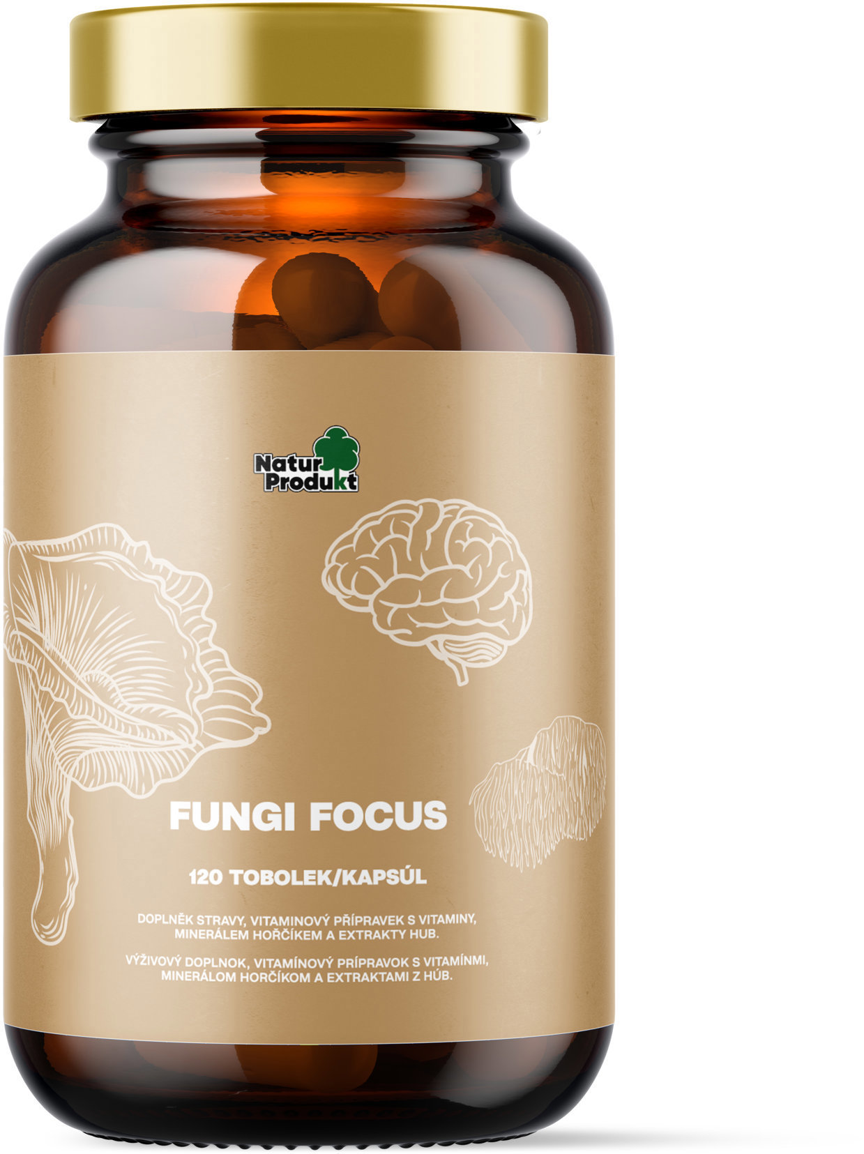 Naturprodukt Fungi Focus