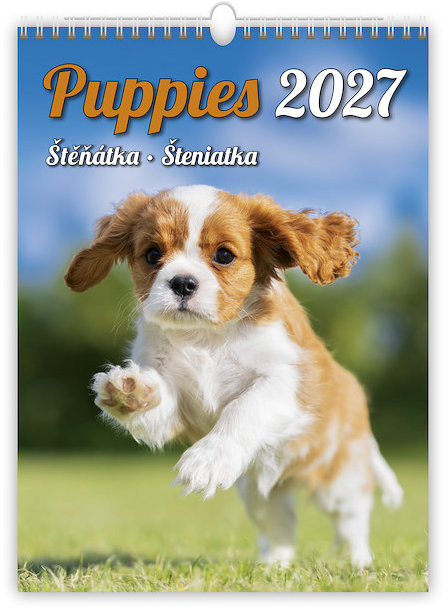 HELMA 365 Puppies/Štěňátka/Šteniatka 2027