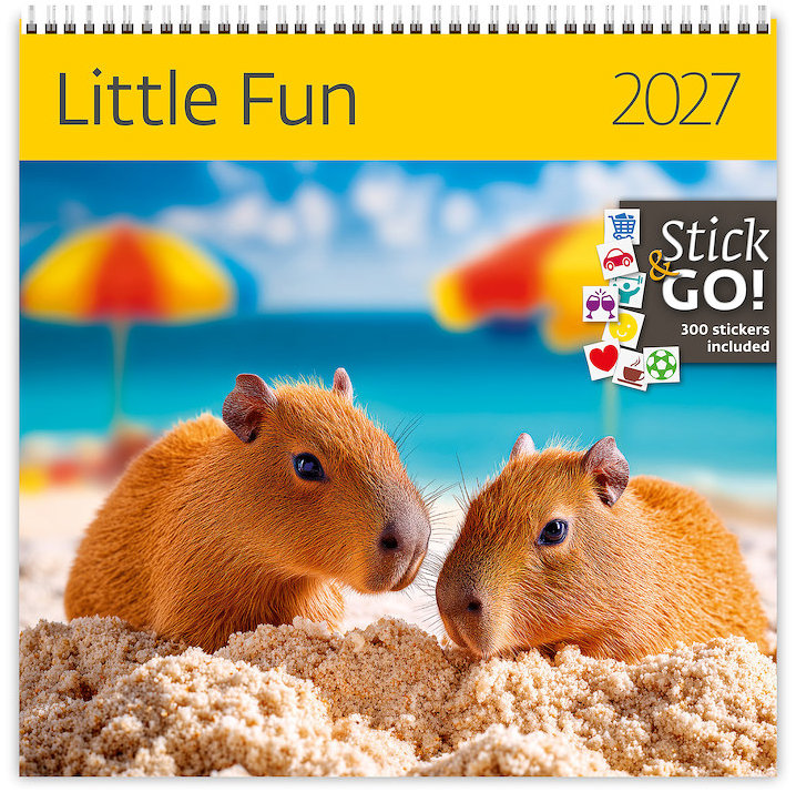 HELMA 365 Little Fun 2027