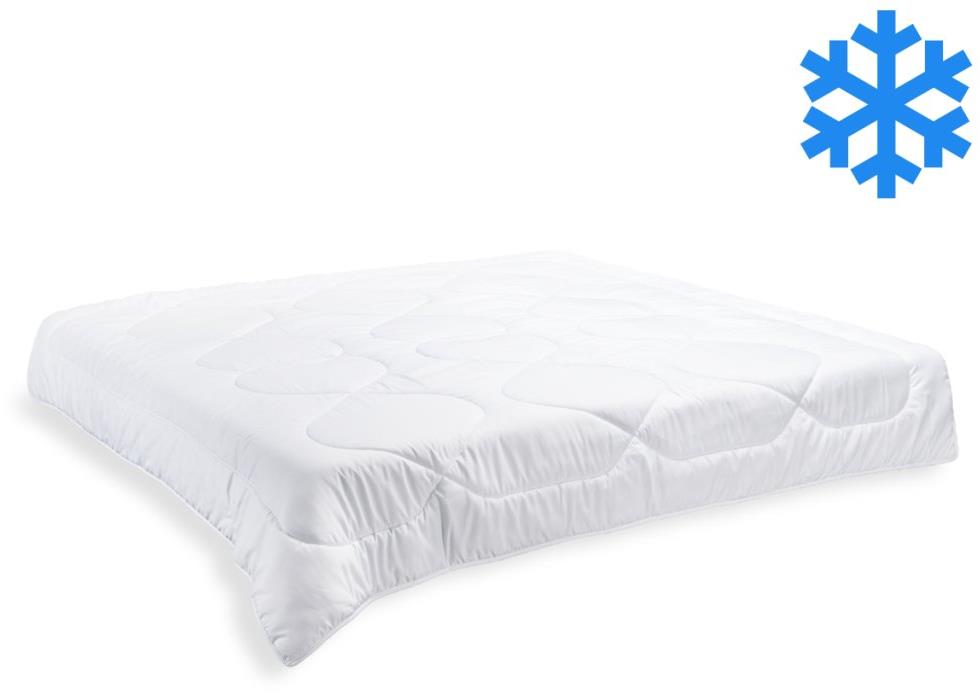 Brotex Francouzská přikrývka Luxus plus 200 × 200 cm zimní 1800 g (450 g/m2)