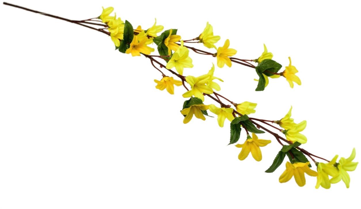 BerryHome Forsythia zlatý déšť 70 cm
