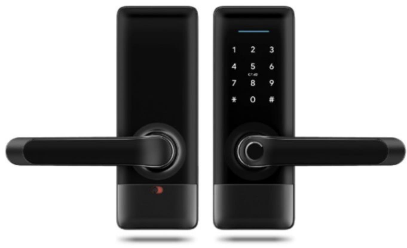 BOT Chytrá klika TTLock H2 černá