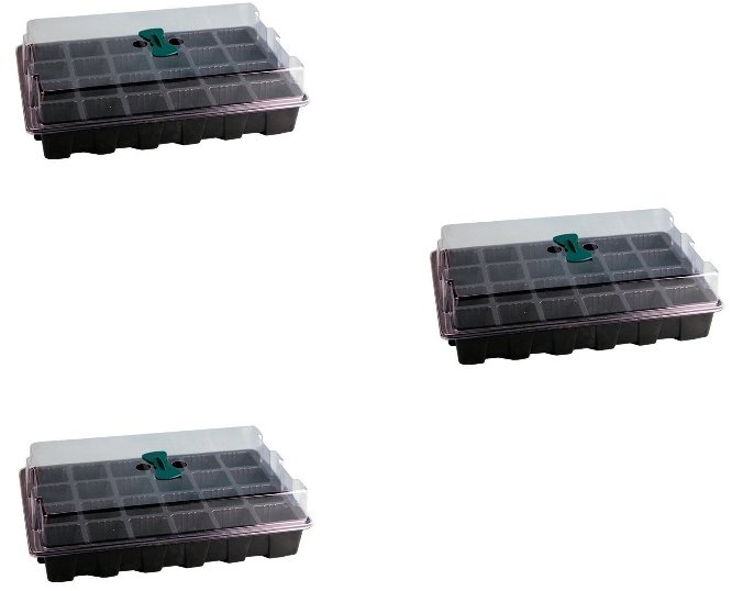 Homegrow Pařeniště 24 buněk, set 3 ks