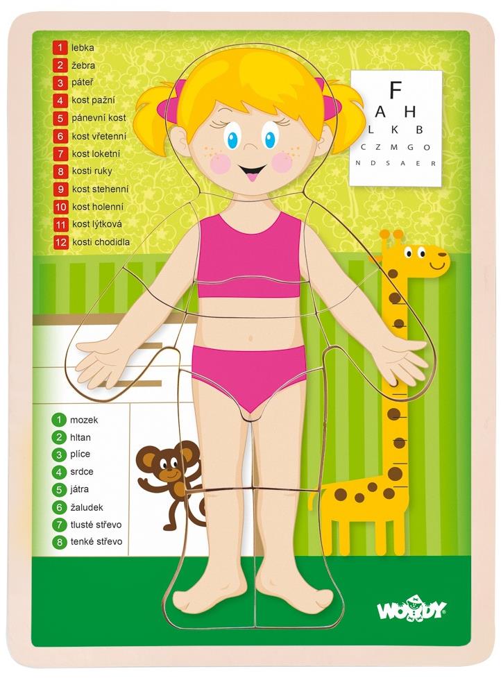 Woody Puzzle "Lidské tělo" - Holka CZ