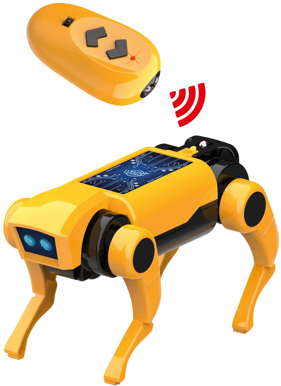 BUKI France RC Robopes miniLab