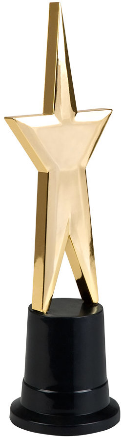 Boland Trofej Star award
