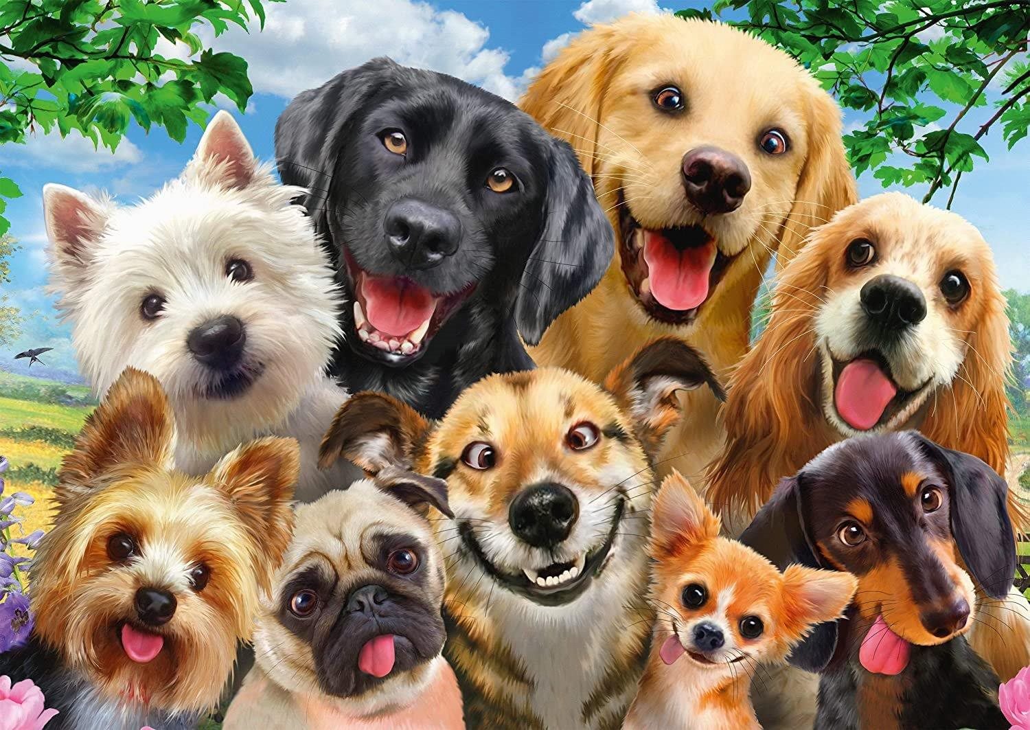Puzzle Psí selfie 500 dílků