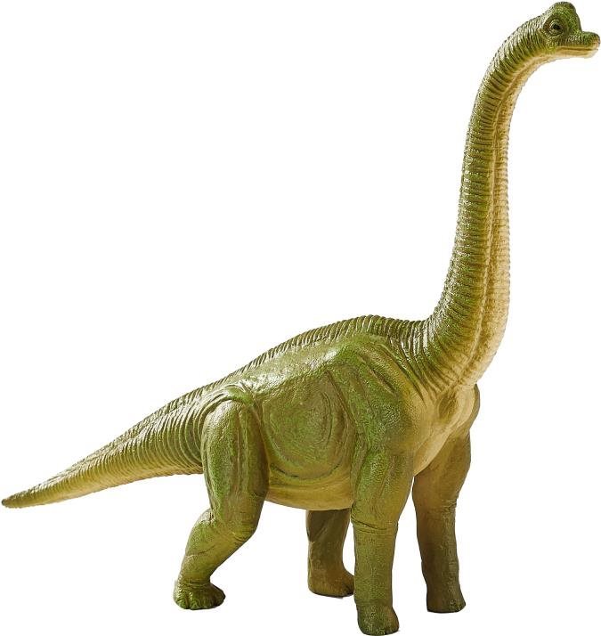 Mojo - Brachiosaurus