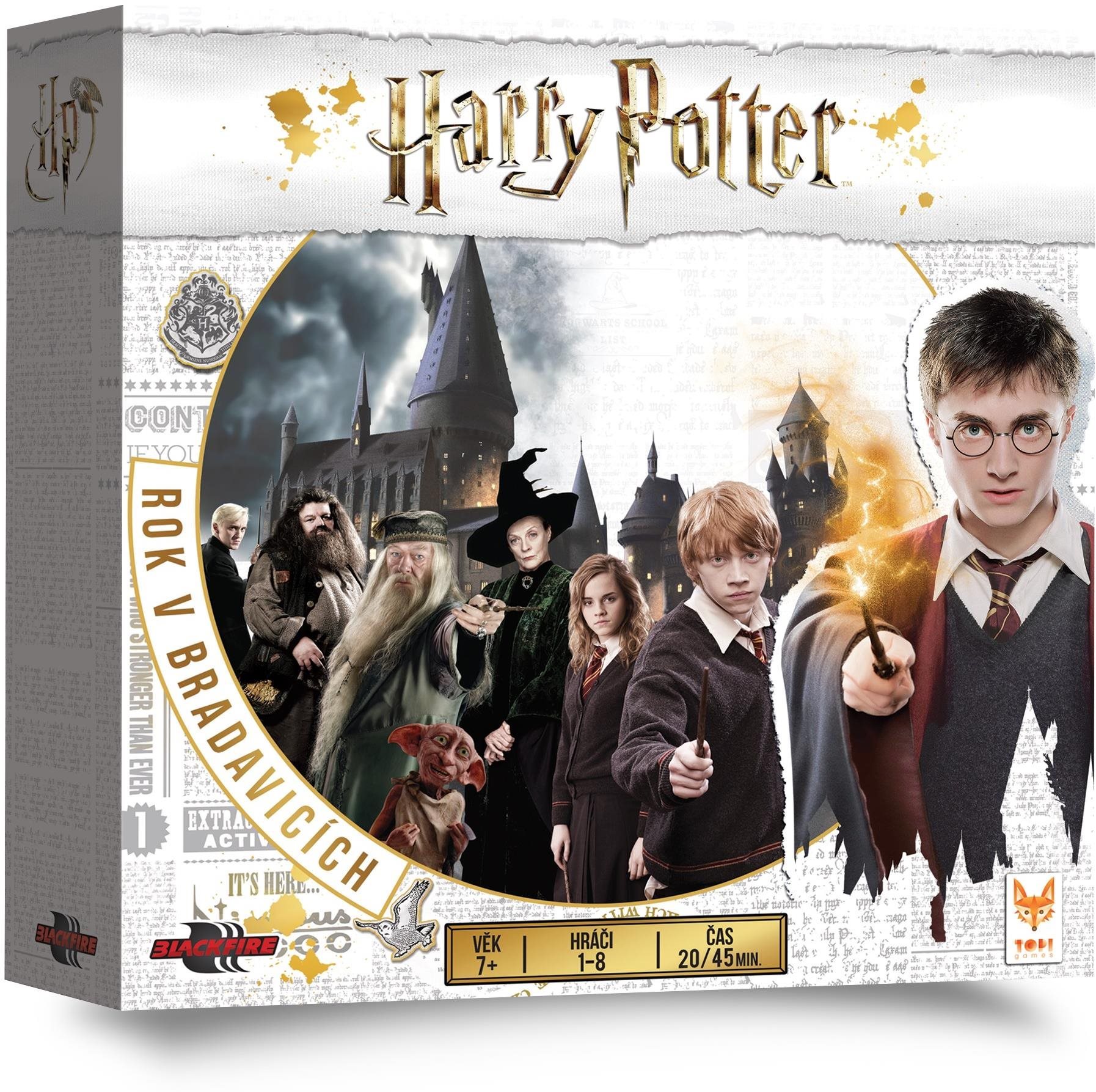 Harry Potter: Rok v Bradavicích