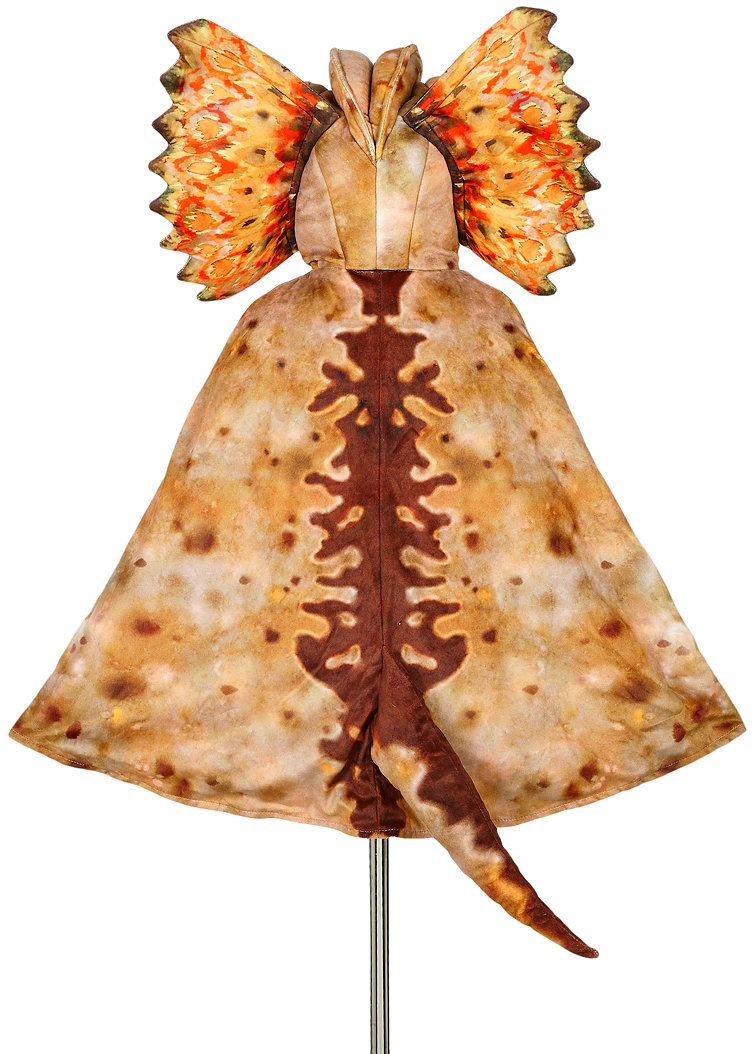 Souza! Dinosauří plášť Dilophosaurus 4-7 let, 104-122 cm