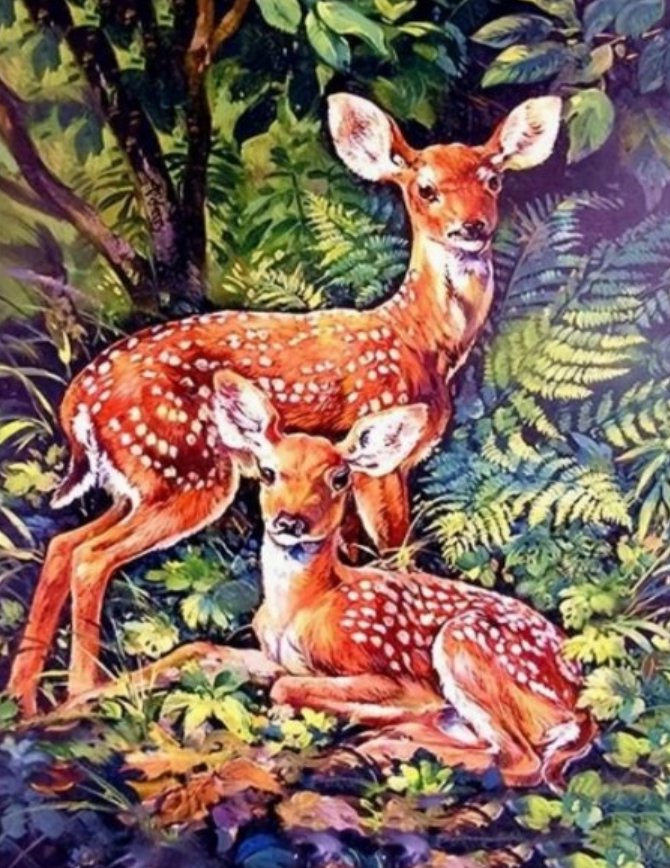 Norimpex Srnky v lese 30 × 40 cm