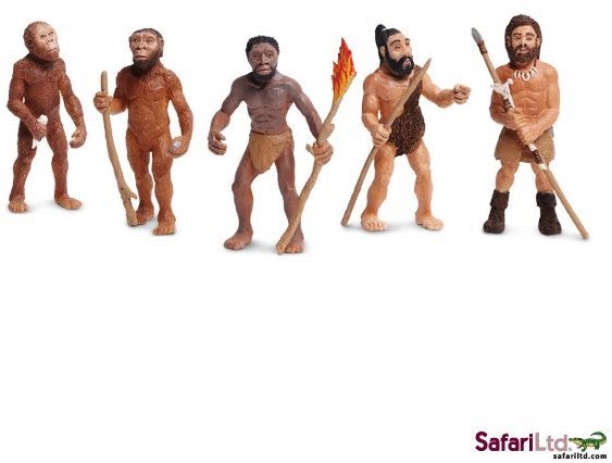 Safari Ltd. Vývoj člověka