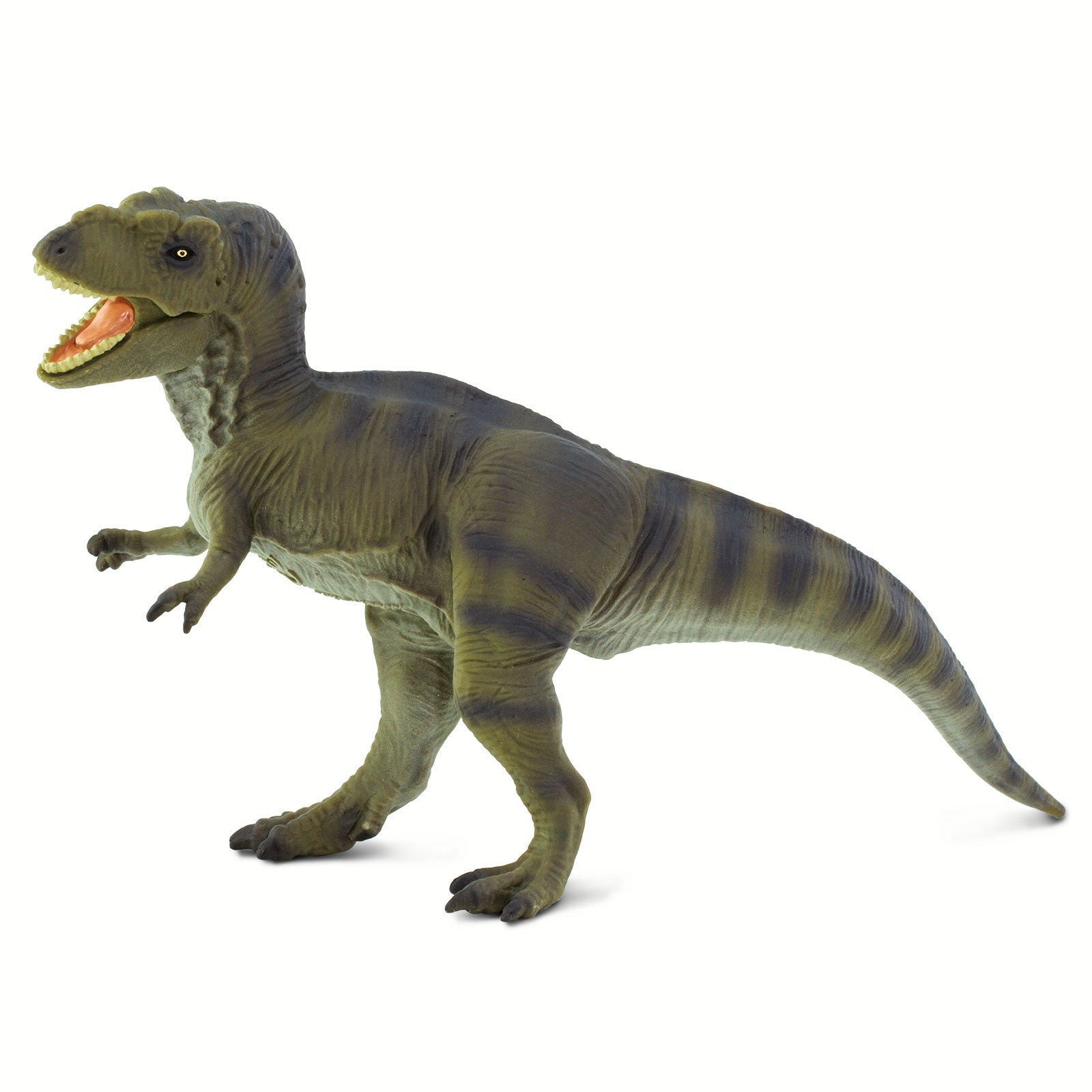 Safari Ltd. Tyrannosaurus Rex