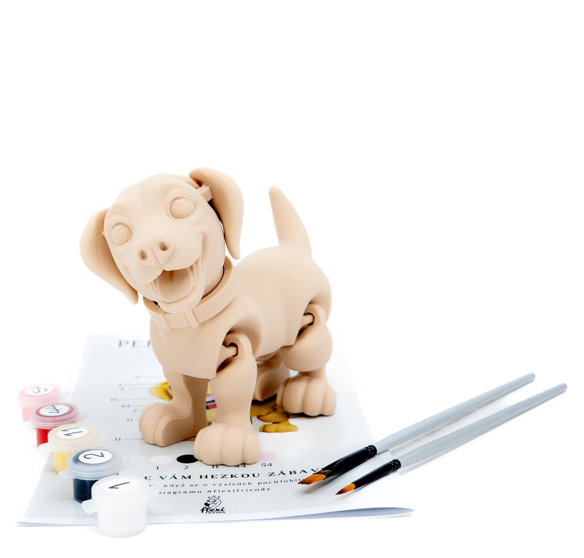 FlexiFriends Pejsek labrador, kreativní sada
