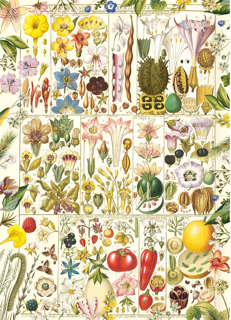Gibsons Botanická blaženost 1000 dílků