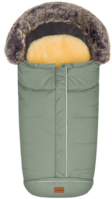 Fillikid Mavensi sage