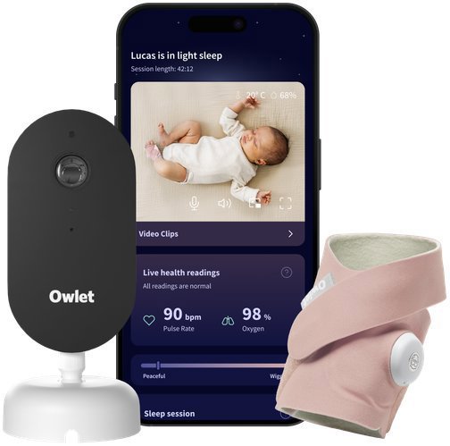 Owlet Dream Duo Dusty Rose
